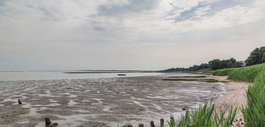 Wattenmeer in Braderup auf Sylt bei Ebbe