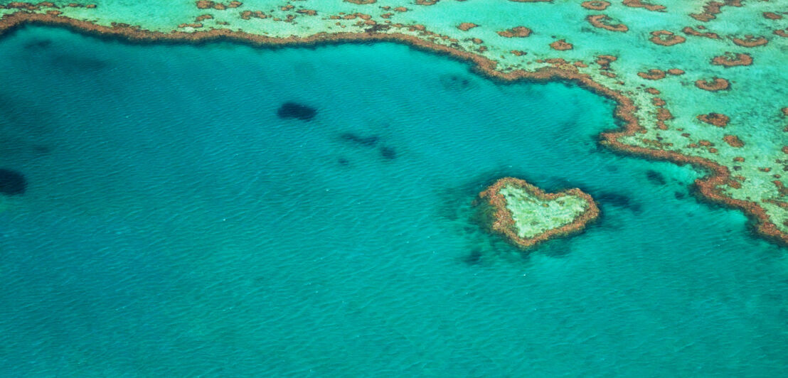 Herzförmiges Riff im türkisblauen Wasser am Great Barrier Reef aus der Luft