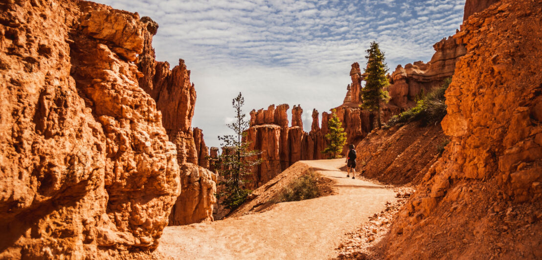 Eine Person läuft auf einem Wanderweg im Bryce-Canyon-Nationalpark an Felsformationen entlang