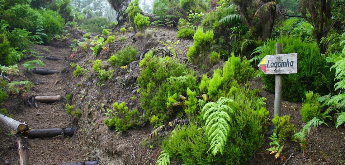 Wegweiser eines Wanderweges nach Lagoinha auf der Azoreninsel Faial.