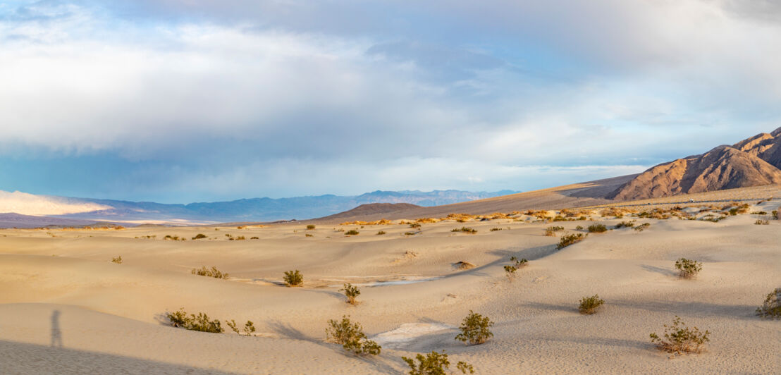 Blick auf Mesquite Flats