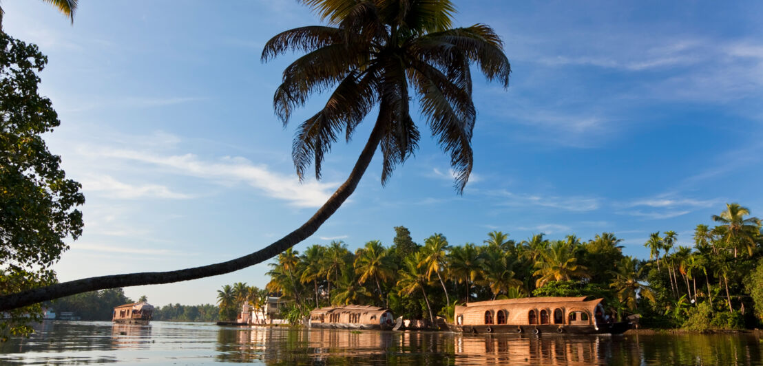 Traditionelle Hausboote in den Backwaters im Palmenduschungel von Kerala 