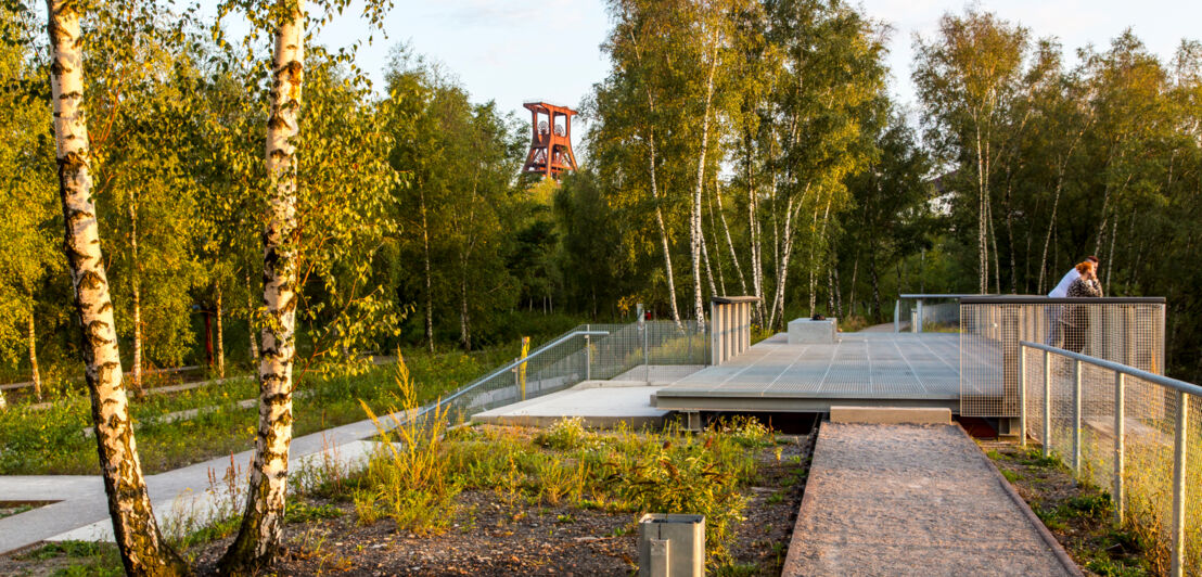 Rasenterrasse im Zollverein Park