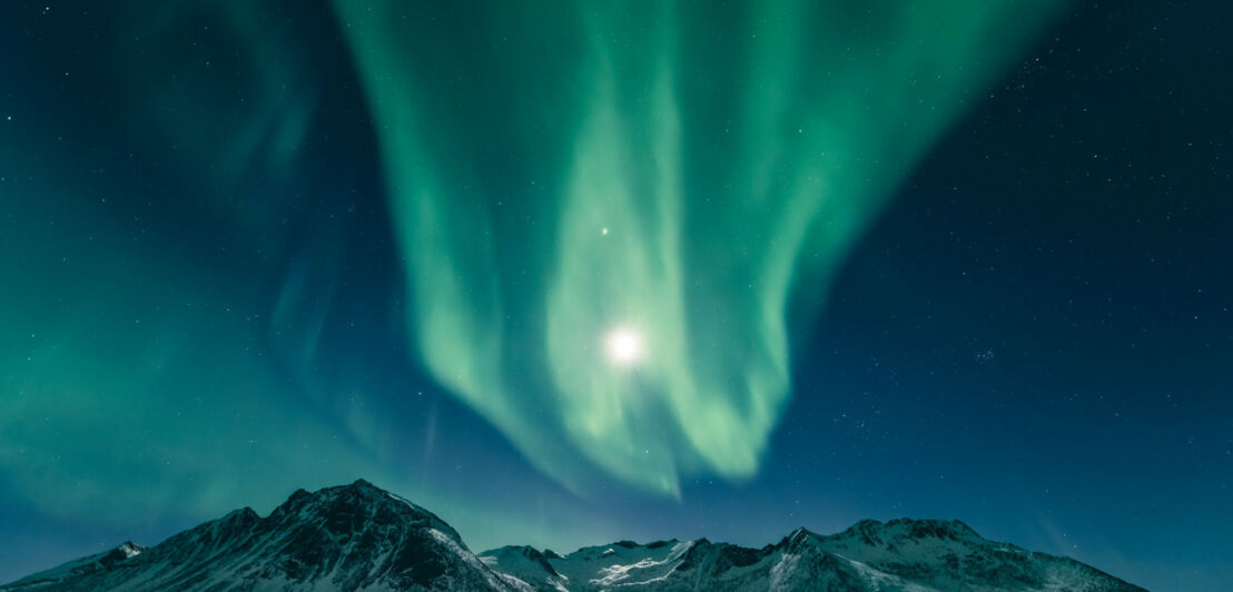 Polarlichter über der Insel Senja