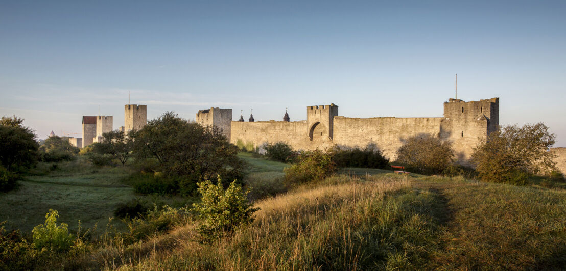 Aufnahme aus der Ferne von Visbys Stadtmauer mit seinen Wachtürmen.