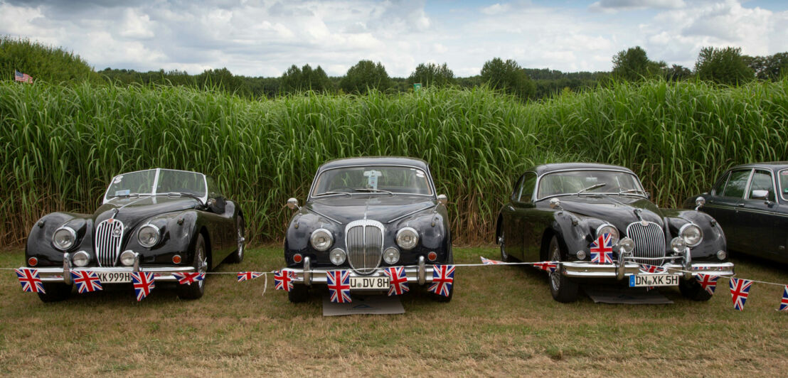 Drei unterschiedliche Jaguar-Modelle nebeneinander vor hohem Gras und durch eine Girlande mit britischen Flaggen abgegrenzt.