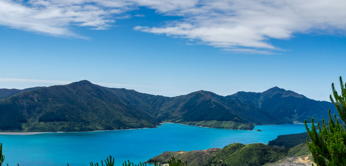 Blick auf die Marlborough Sounds mit türkisblauem Wasser und Bergen im Hintergrund.