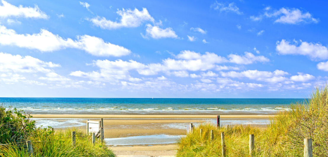 Blick auf Dünen, Strand und Meer