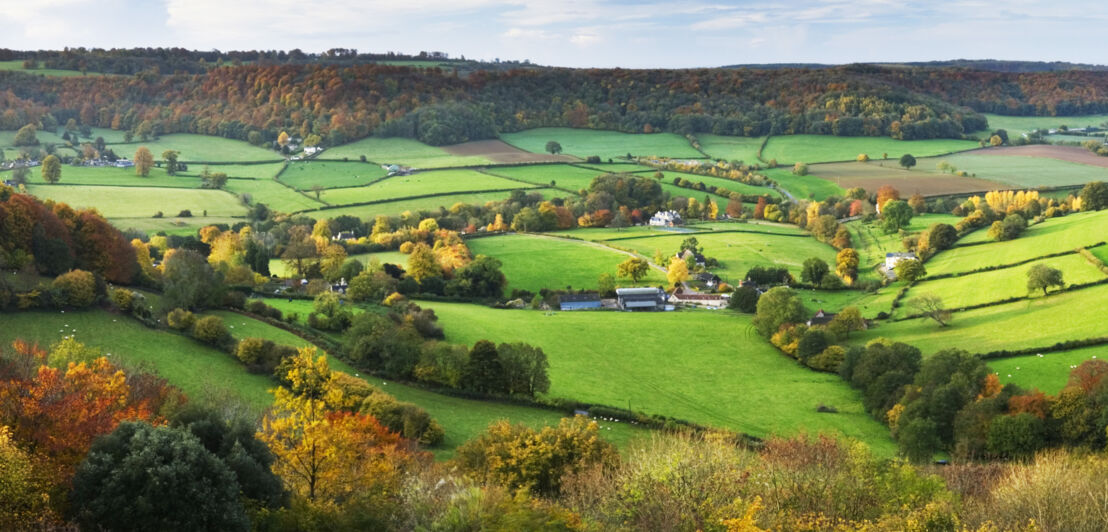 Weitläufige, grüne Hügellandschaft