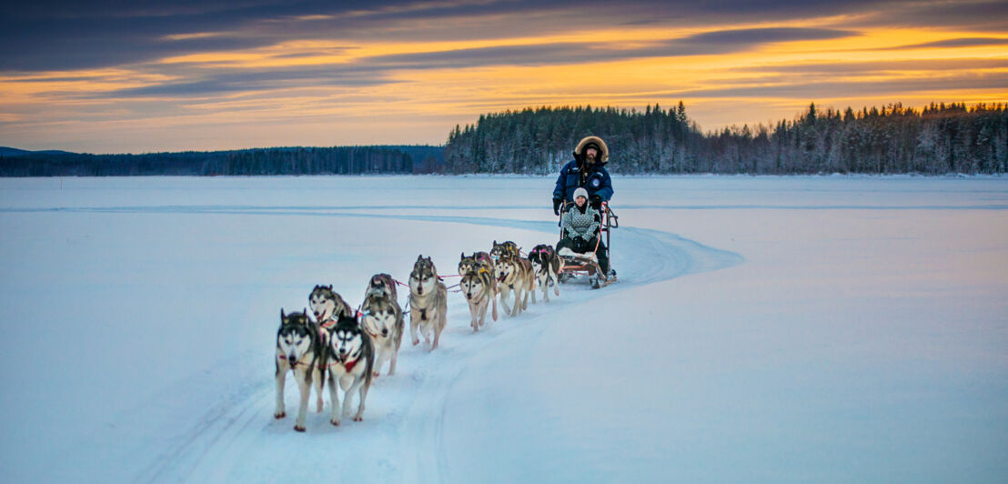 Ein Paar fährt mit einem Huskyschlitten durch eine Schneelandschaft in der Abenddämmerung