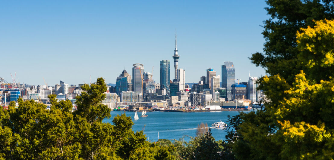 Skyline von Auckland am Wasser mit Baumkronen im Vordergrund.