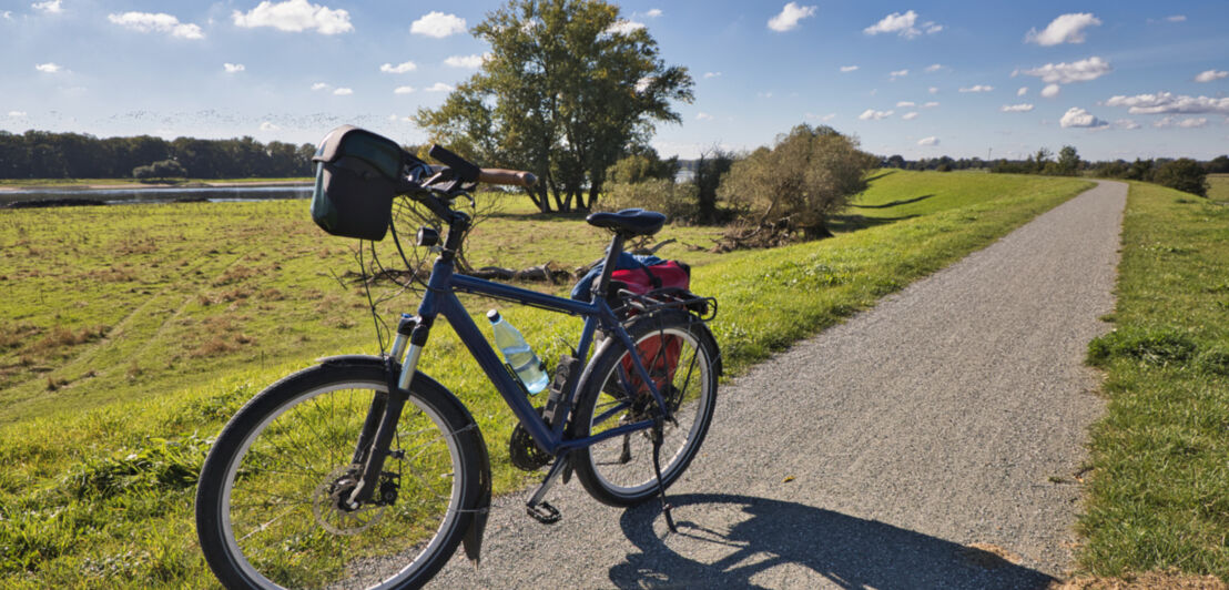 Fahrrad auf einem Deich auf dem Elbradweg