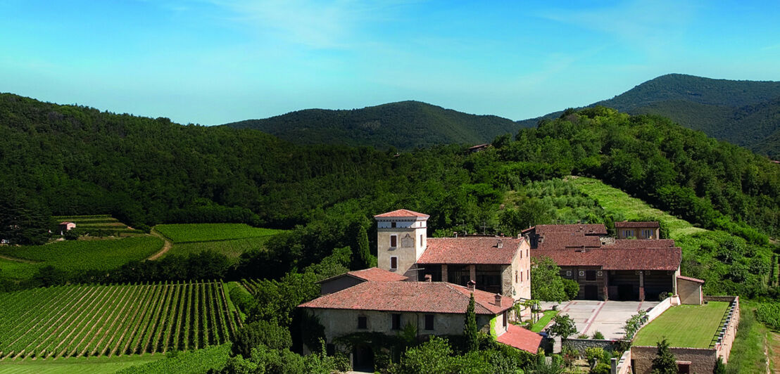 Ein Weingut inmitten einer grünen Hügellandschaft