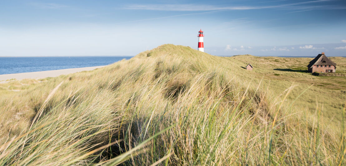 Menschenleere Grasdünenlandschaft am Meer mit einem rot-weiß gestreiften Leuchtturm und einem reetgedeckten Haus