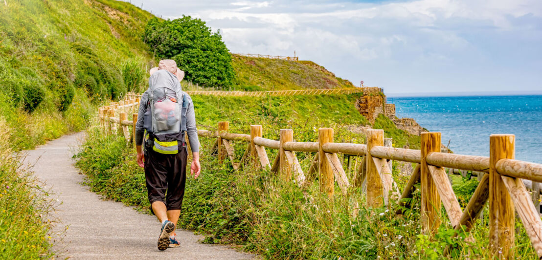 Rückansicht eines Mannes mit Rucksack auf einem Wanderweg an einer begrünten Felsküste.