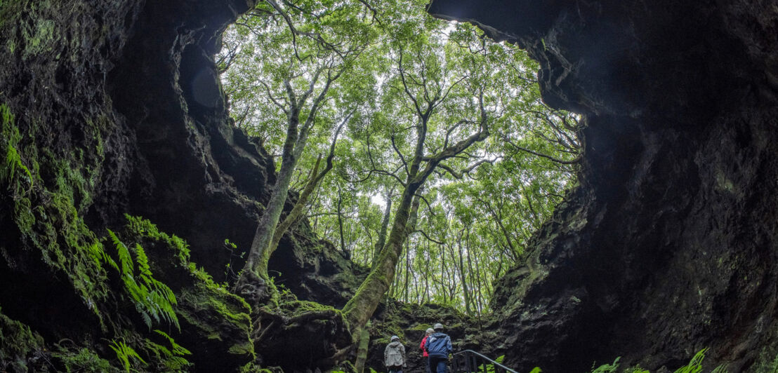 Drei Personen auf einer Treppe am Eingang einer Lavahöhle mit Bäumen.