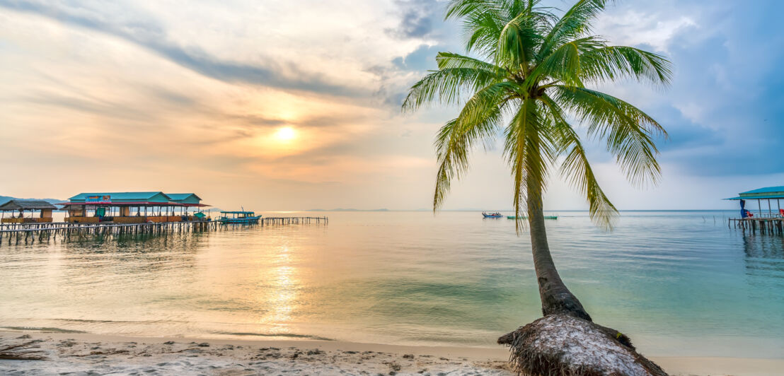 Strand bei Sonnenuntergang auf der vietnamesischen Insel Phu Quoc mit Palme im Vordergrund.