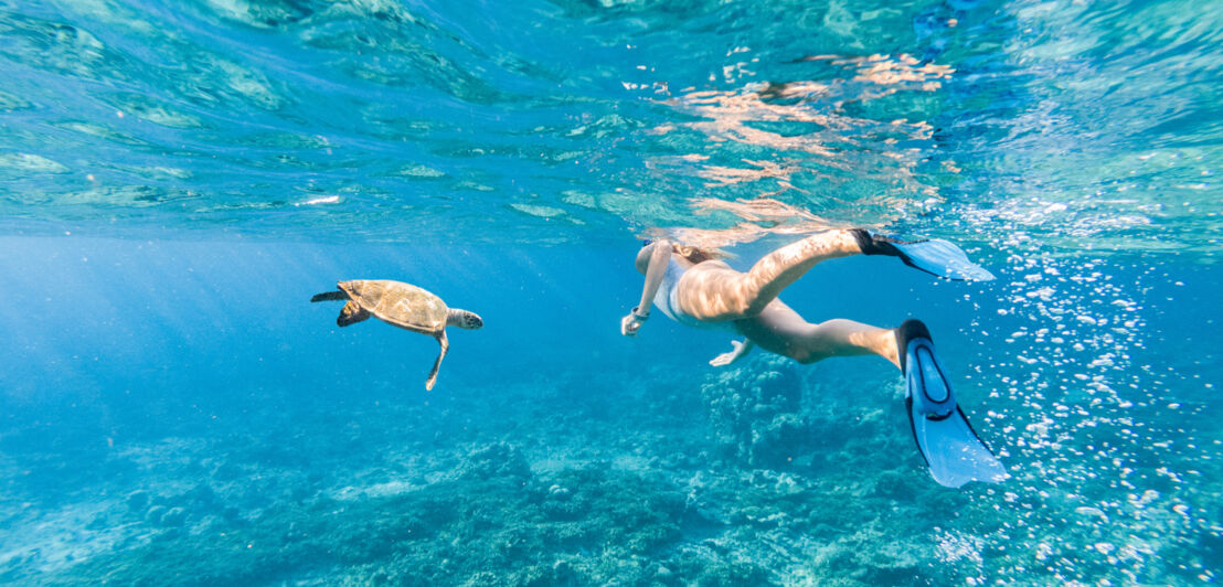 Junge Frau beim Schnorcheln in klarem blauem Wasser auf den Malediven, daneben eine grüne Schildkröte.