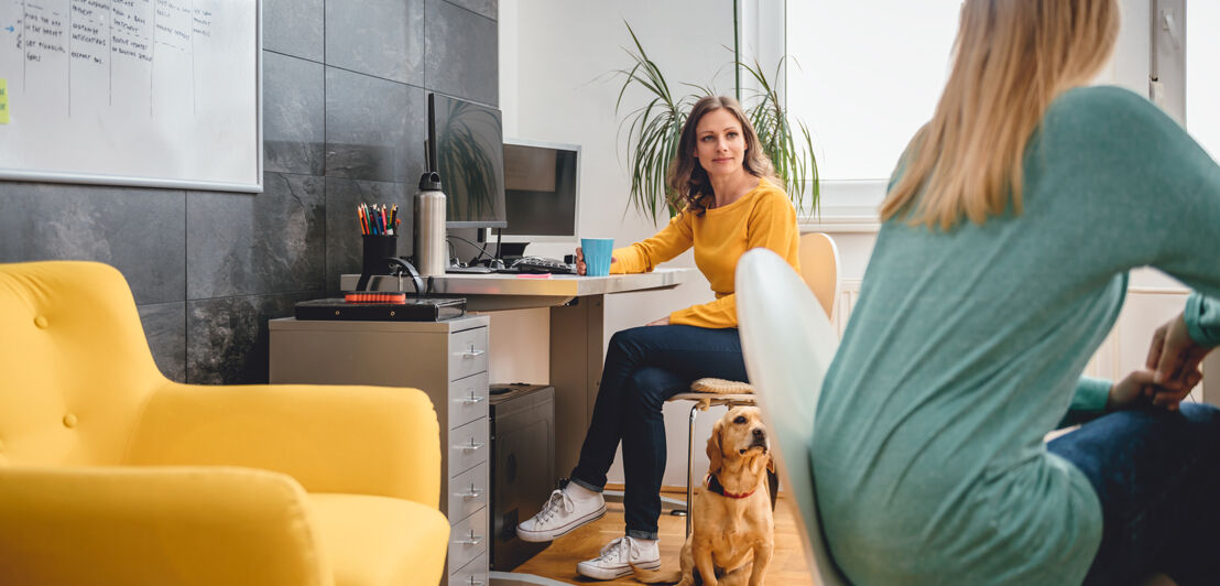 Two woman sitting at the desk and talking in the office and small yellow dog is siting on the floor