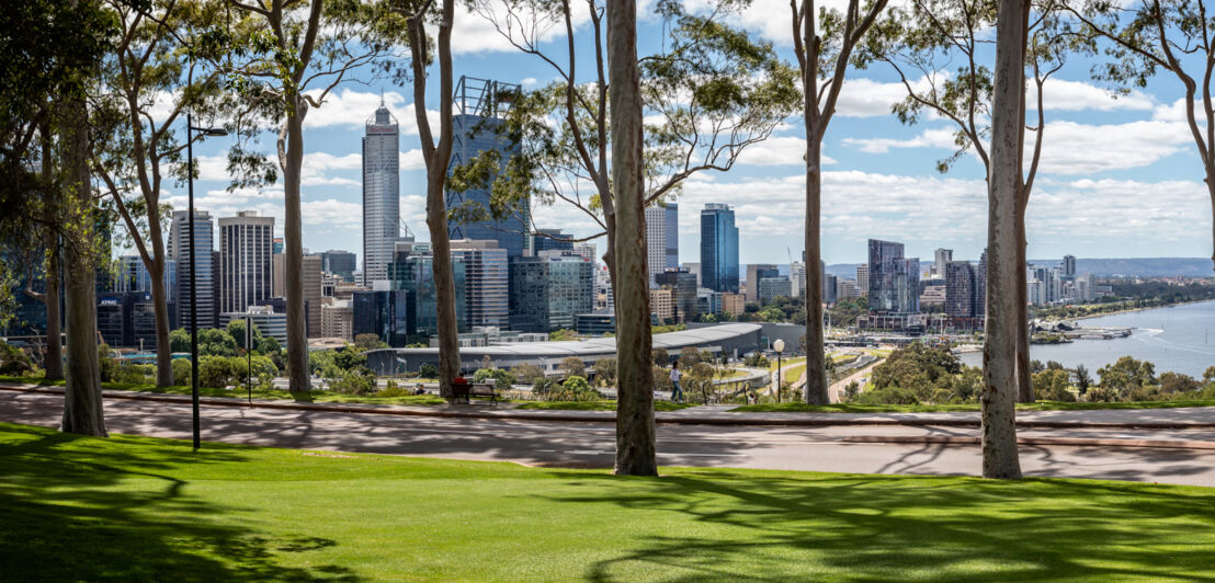 Allee im Kings Park in Perth mit der Skyline im Hintergrund.