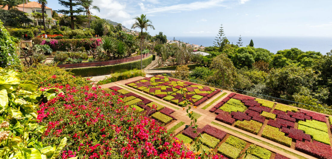 Anlage des Botanischen Gartens in Funchal mit verschiedenen Blumenbeeten und Pflanzen.