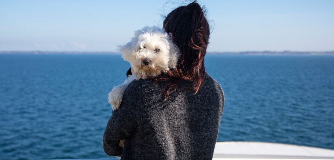 Ein weißer Hund auf dem Arm einer Frau auf einem Schiff vor Meerespanorama.