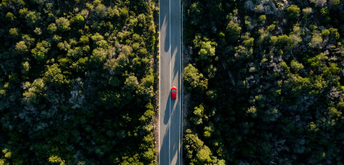 Aufsicht eines roten Autos auf einer Straße inmitten mediterraner Natur.