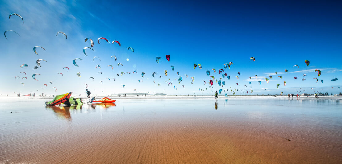 Zahlreiche Kitesurfende an einem breiten Sandstrand unter blauem Himmel.