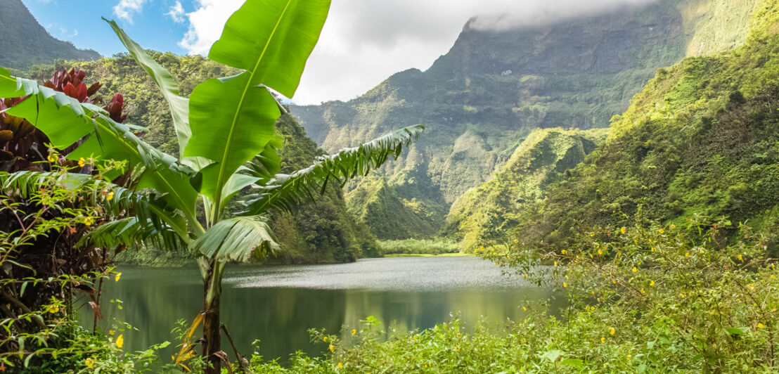 Vaihiria-See auf Tahiti, umgeben von üppig-grüner Landschaft