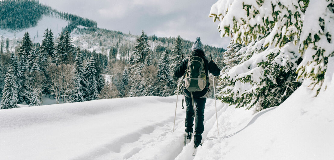 Person mit Rucksack und Skiausrüstung auf einer Langlaufloipe in Tschechien.