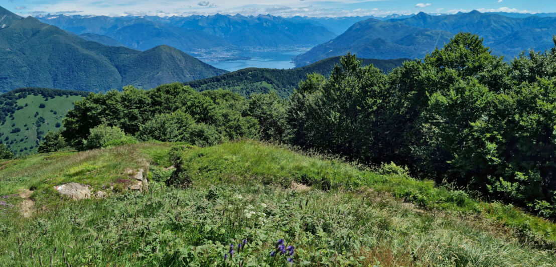 Grüne Landschaft mit Berggipfeln und dem Lago Maggiore im Hintergrund.