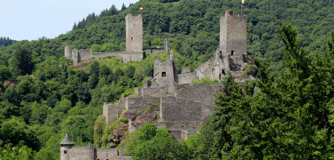 Ausblick auf die Oberburg und Niederburg in Manderscheid, umgeben von grünen Baumkronen.