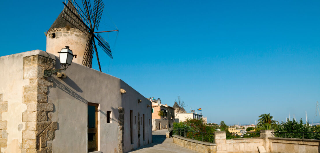 Flache, weiße Gebäude mit Windmühle an einem Weg auf einer Anhöhe.