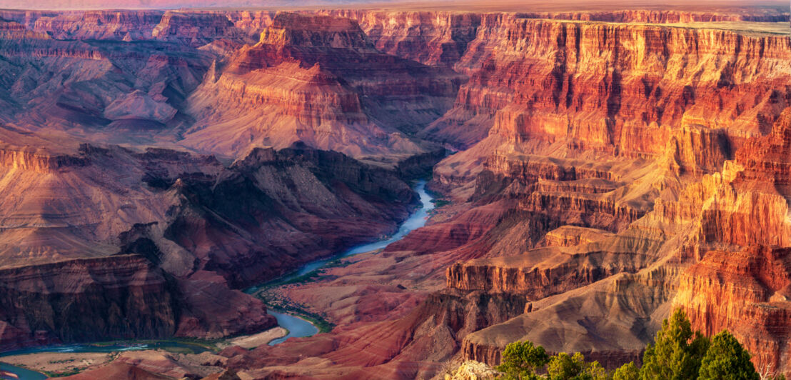 Grand Canyon mit roten Gesteinsschichten im warmen Sonnenlicht.