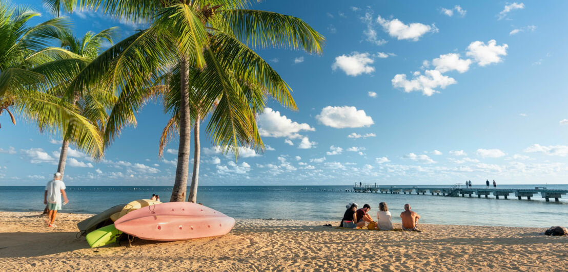 Mehrere Personen sitzen im warmen Sonnenlicht an einem Sandstrand mit drei Palmen und gestapelten Surfbrettern vor Meerespanorama mit einem Pier.