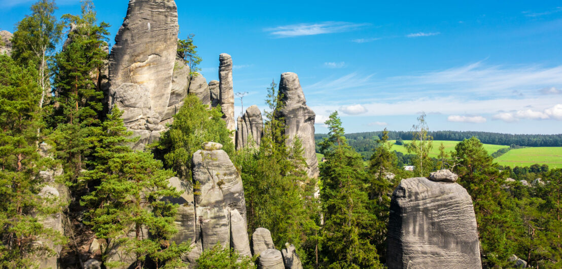 Hohe Sandsteinformationen in einem Waldgebiet auf einem Berg.