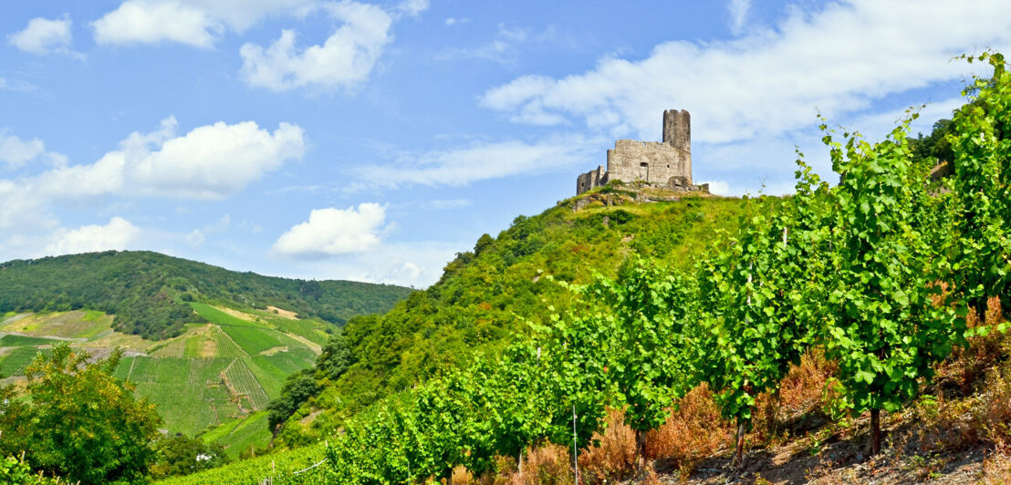 Blick auf einen Weinhang und die Burg Landshut, die oberhalb von Bernkastel-Kues thront. 