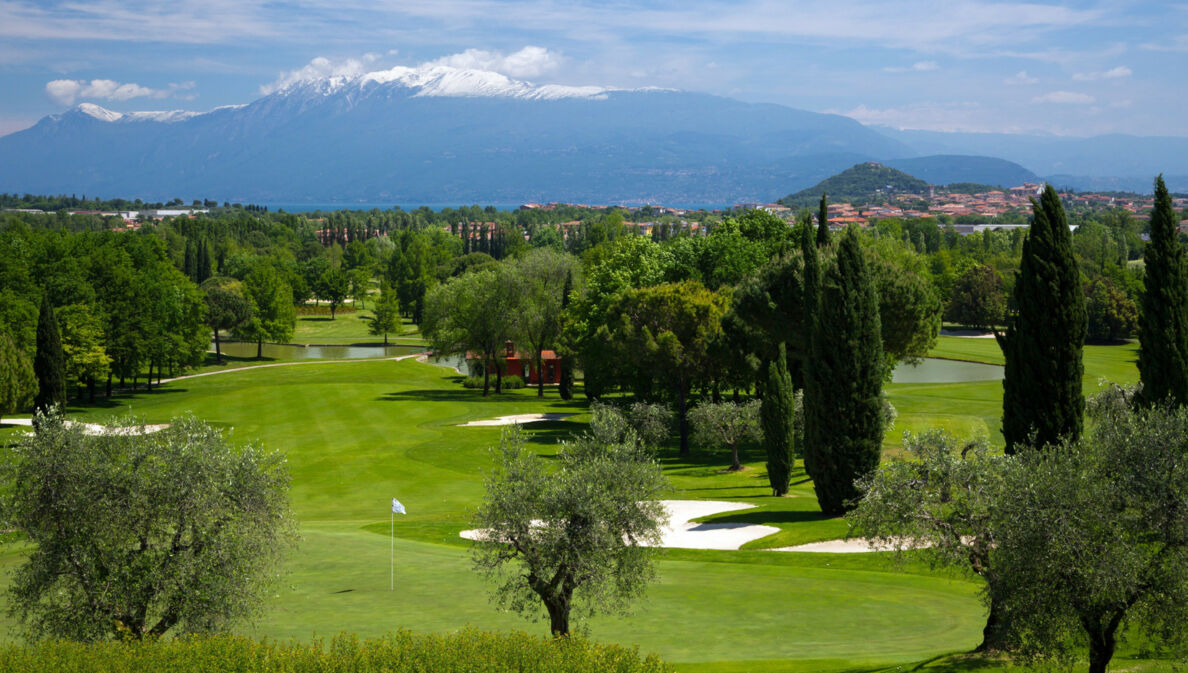 Ein Golfplatz umrandet von Bäumen mit Blick auf einen schneebedeckten Berg