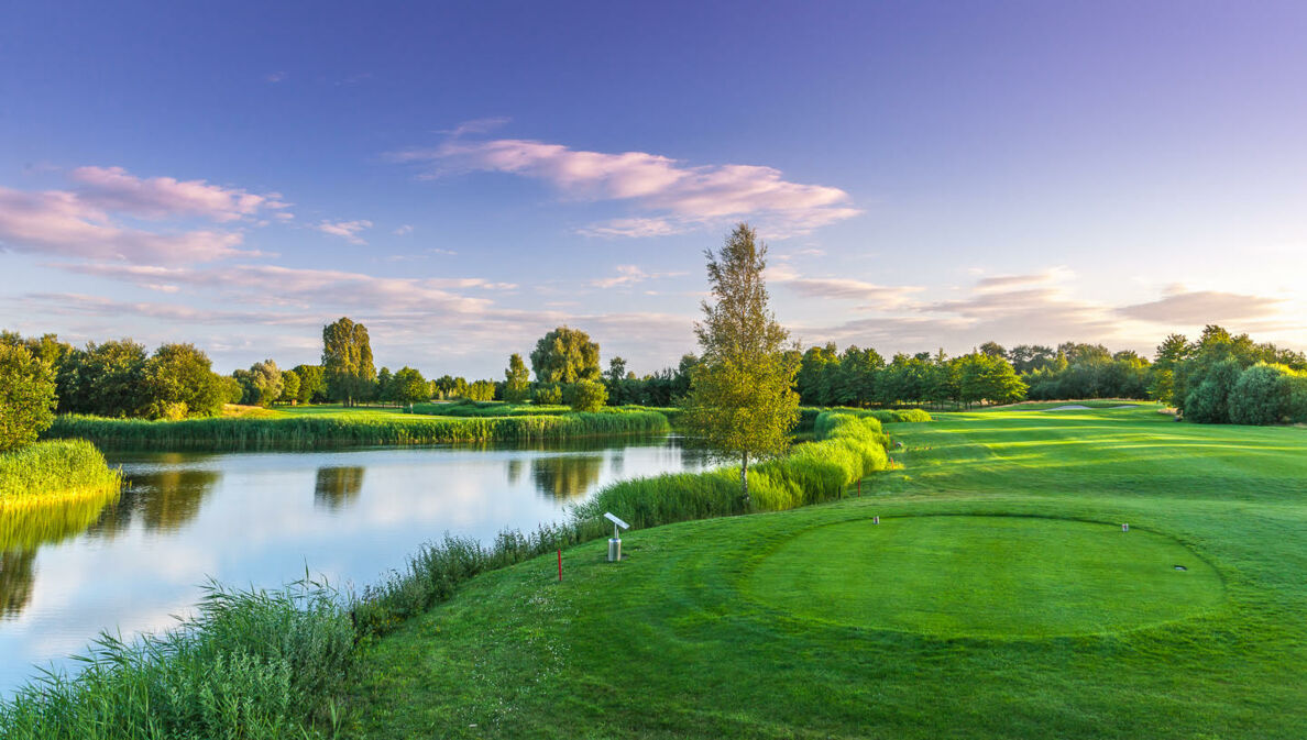 Blick auf ein am Teich gelegenes Grün auf dem Golfplatz Bad Zwischenahn