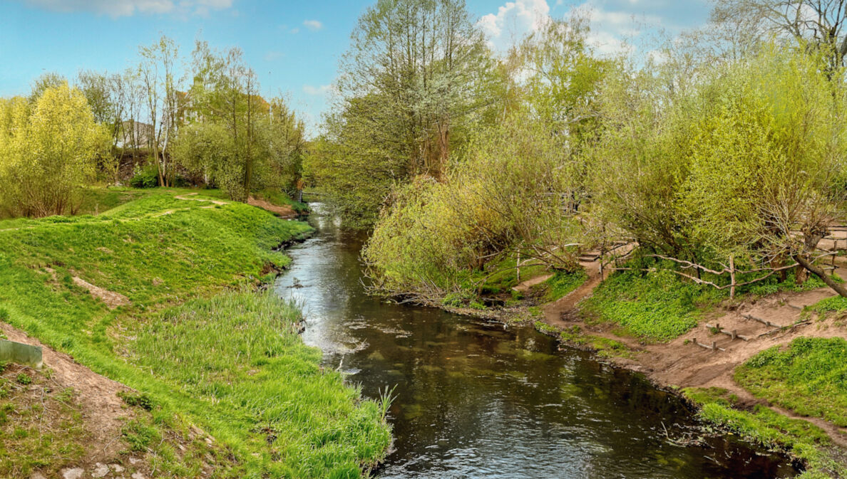 Blick auf den Fluss umgeben von idyllischer Natur