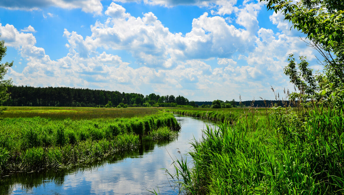 Blick auf die Eider in Schleswig-Holstein