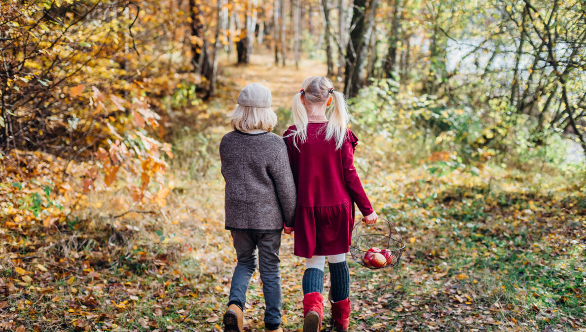 Rückansicht von zwei Kindern, die durch einen herbstlichen Wald gehen