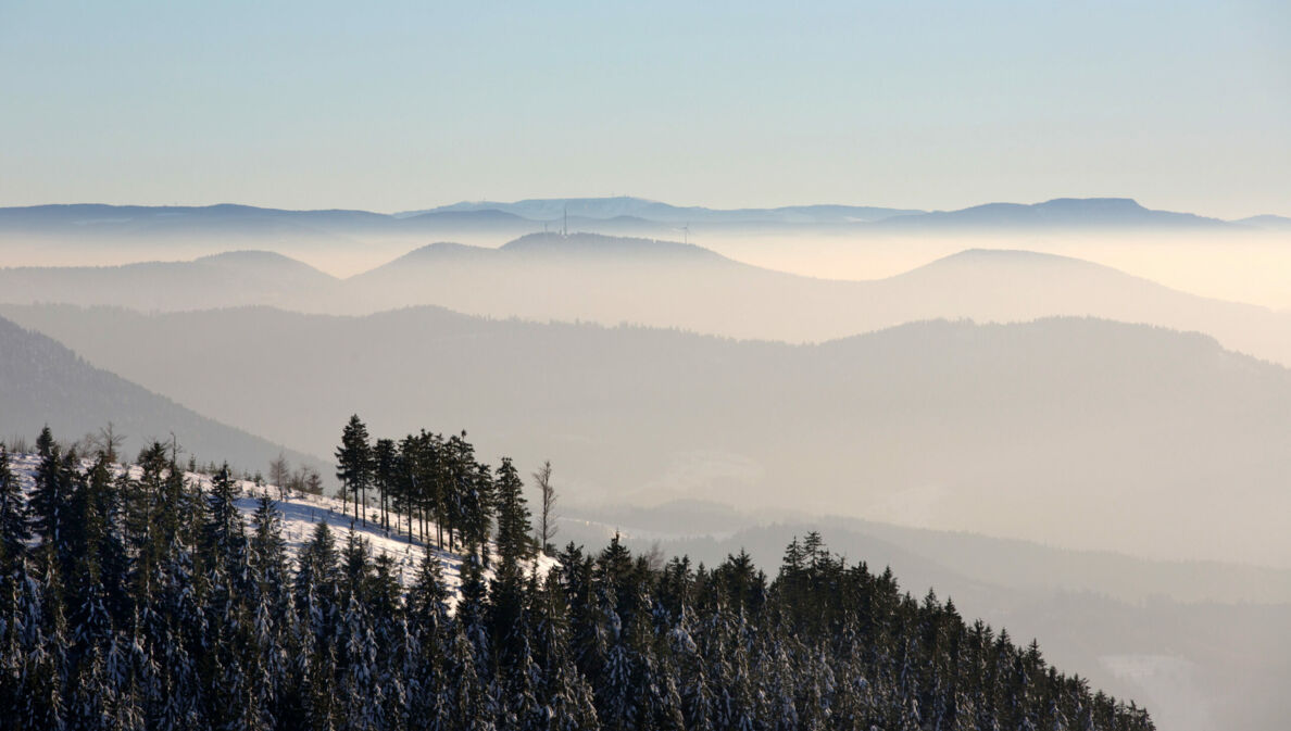 Blick über die Berglandschaft des Schwarzwaldes mit Nebelfelder im Hintergrund