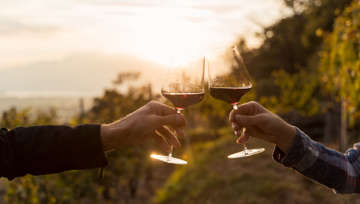 Zwei Hände klirren Rotweingläser in einem Weinberg bei Sonnenuntergang