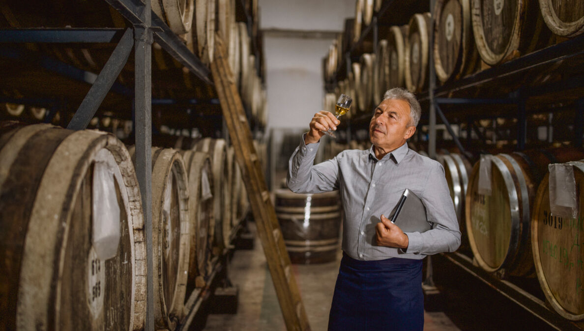 Ein Brandmeister steht in seiner Destillerie und hält ein Glas seines Whiskys prüfend gegen das Licht