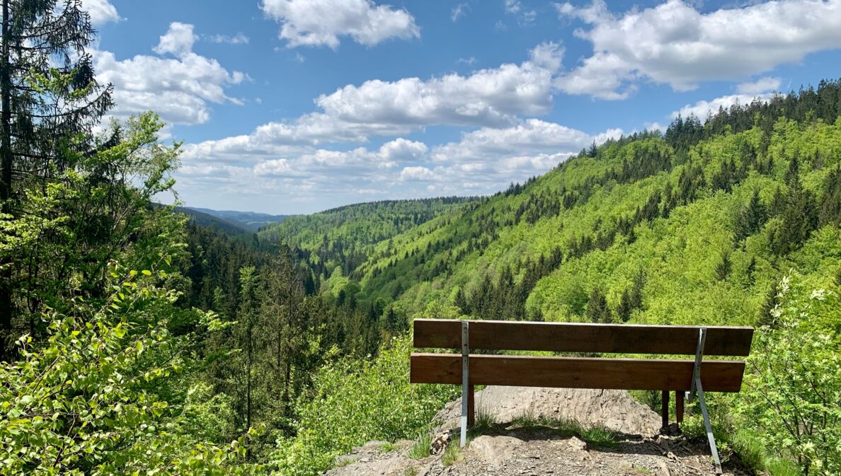 Eine Bank an einem Aussichtspunkt mit Blick auf Berge und Wald