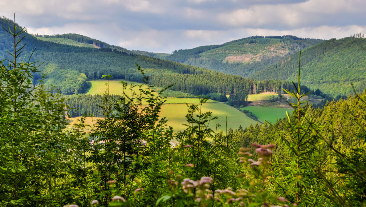 Eine Landschaft mit Bergen im Hintergrund