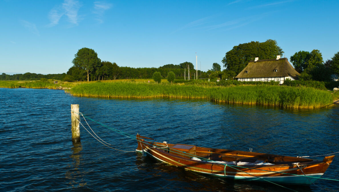 Reetdachhaus und Boot an der Schlei