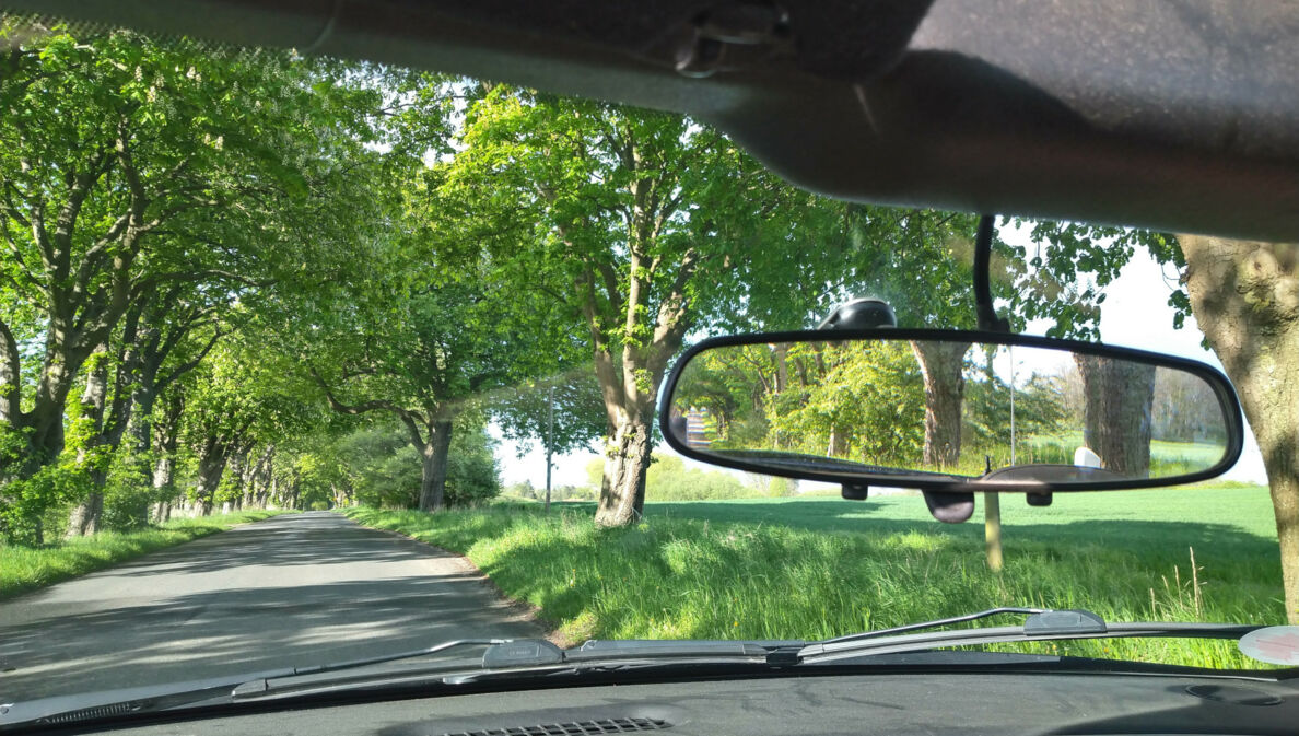 Blick durch die Frontscheibe eines Autos in die grüne Landschaft