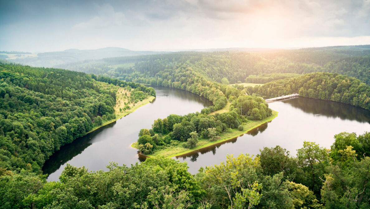 Ein Fluss aus der Vogelperspektive, der sich durch eine Waldlandschaft schlängelt